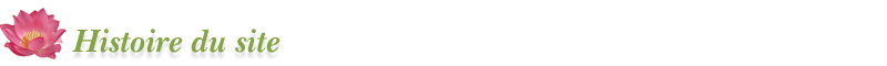 Histoire du site